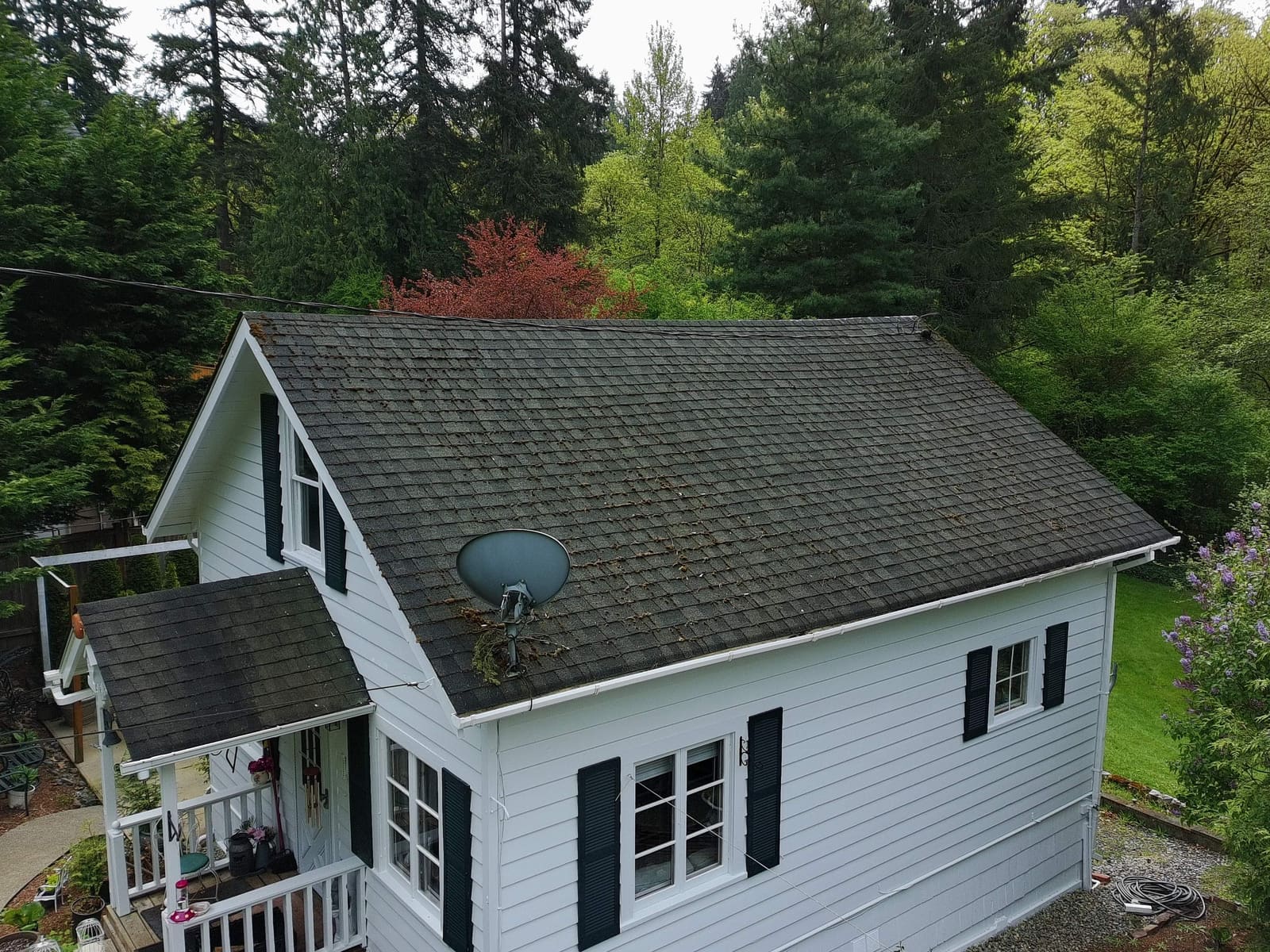 Older roof with visible moss growth before replacement